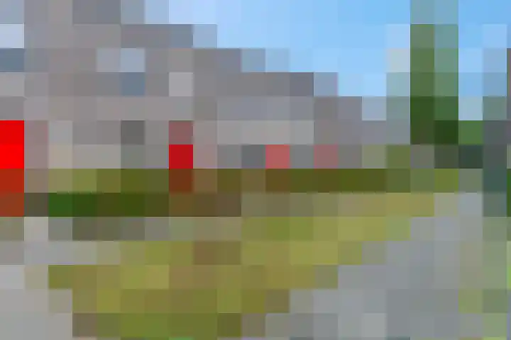 Piet Smithof 10 Ede thumbnail 37