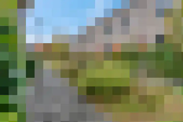 Piet Smithof 10 Ede thumbnail 38