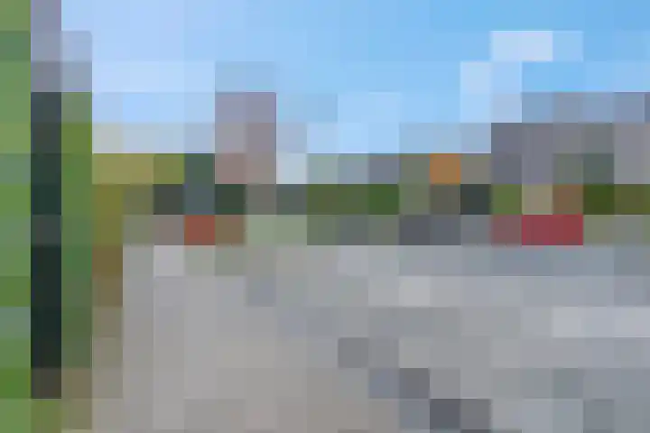 Piet Smithof 10 Ede thumbnail 39