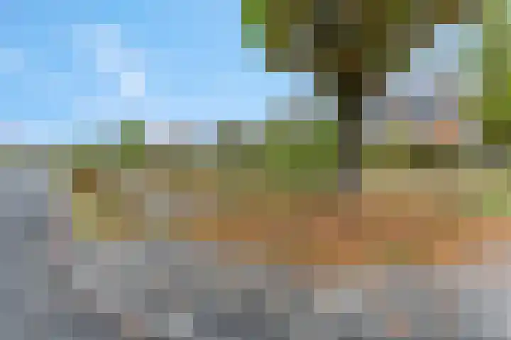 Piet Smithof 10 Ede thumbnail 40