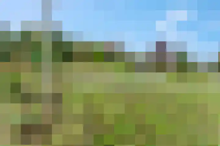 Piet Smithof 10 Ede thumbnail 41