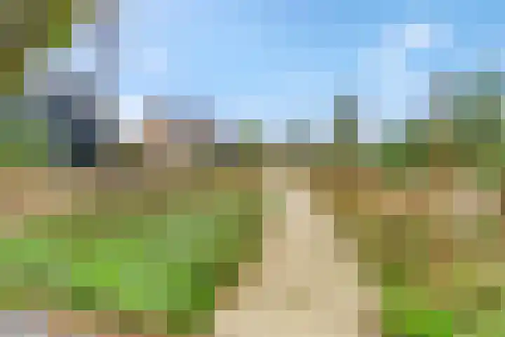 Piet Smithof 10 Ede thumbnail 42