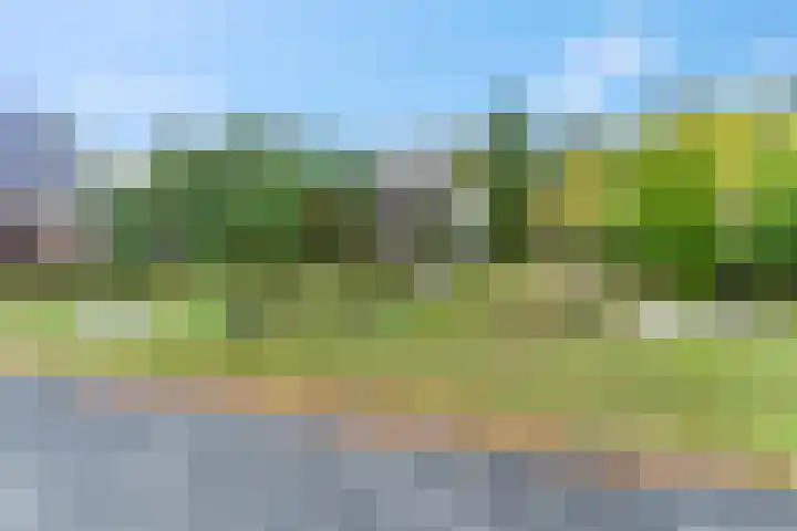 Piet Smithof 10 Ede thumbnail 43