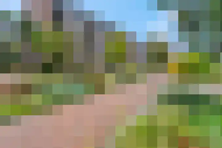 Piet Smithof 10 Ede thumbnail 44