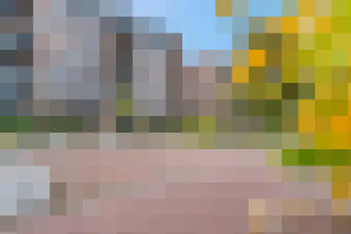 Piet Smithof 10 Ede thumbnail 45