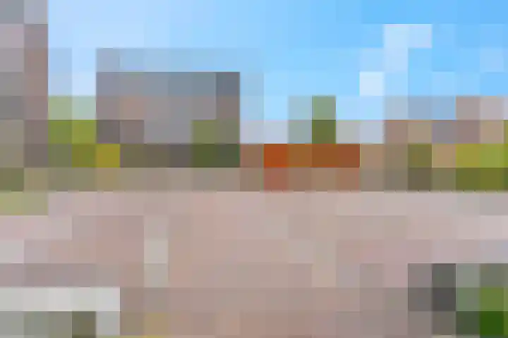 Piet Smithof 10 Ede thumbnail 46
