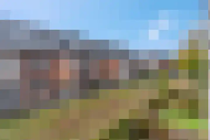 Piet Smithof 10 Ede thumbnail 47