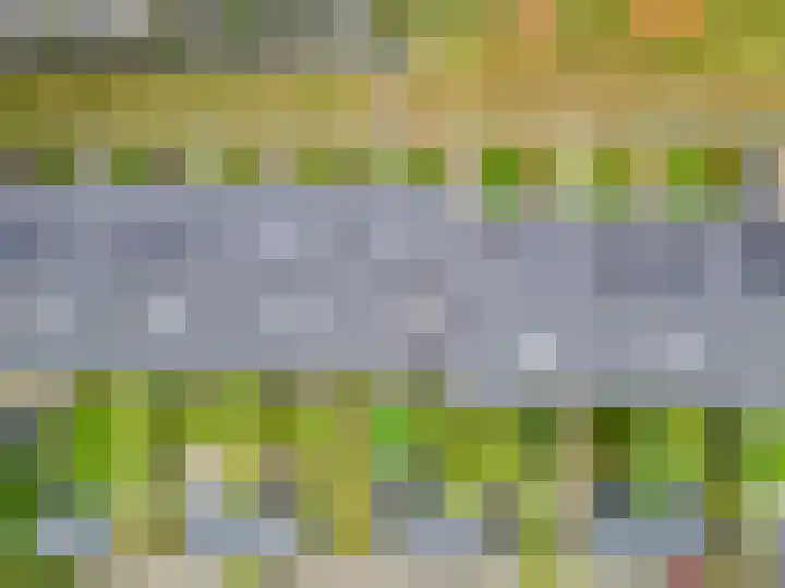Piet Smithof 10 Ede thumbnail 54