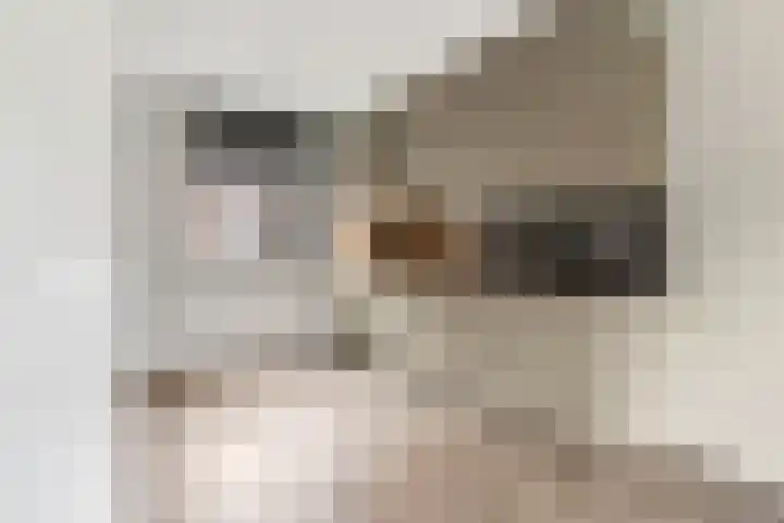 Piet Smithof 10 Ede thumbnail 6
