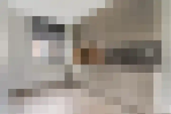 Piet Smithof 10 Ede thumbnail 7