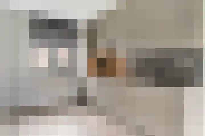 Piet Smithof 10 Ede thumbnail 8