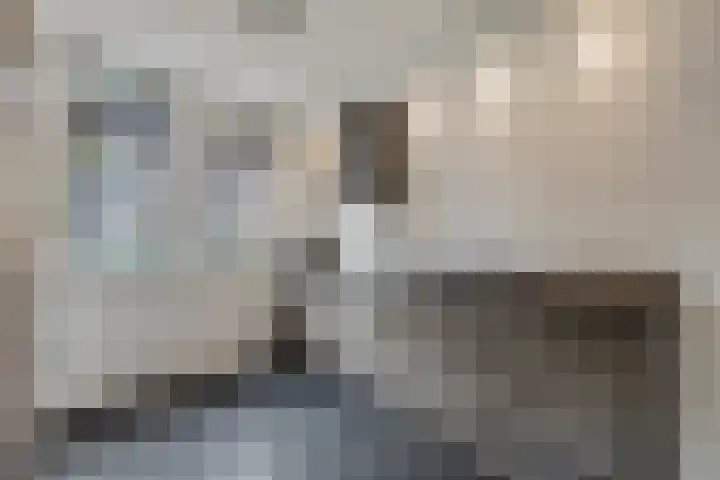 Piet Smithof 11 Ede thumbnail 10