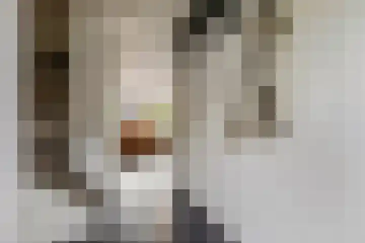 Piet Smithof 11 Ede thumbnail 15
