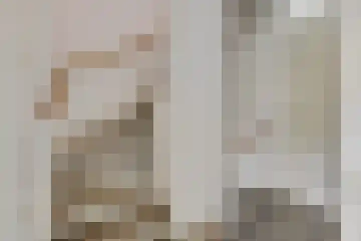 Piet Smithof 11 Ede thumbnail 25