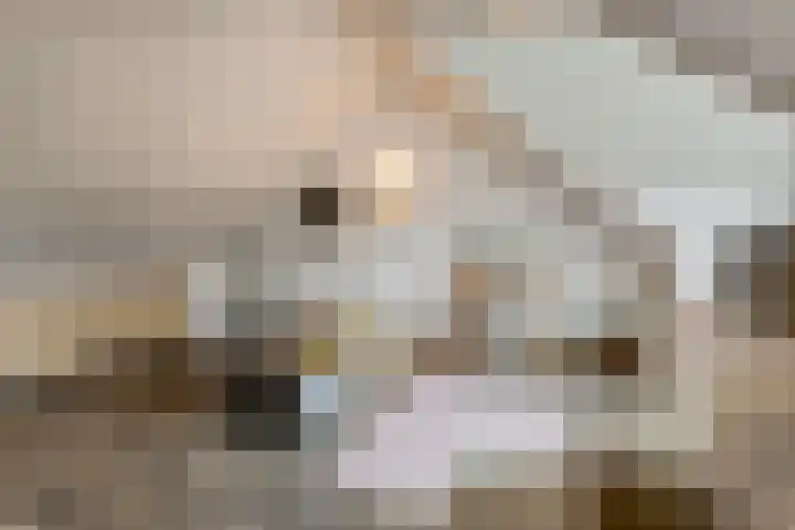 Piet Smithof 11 Ede thumbnail 26