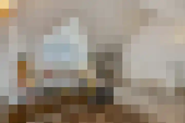 Piet Smithof 11 Ede thumbnail 27