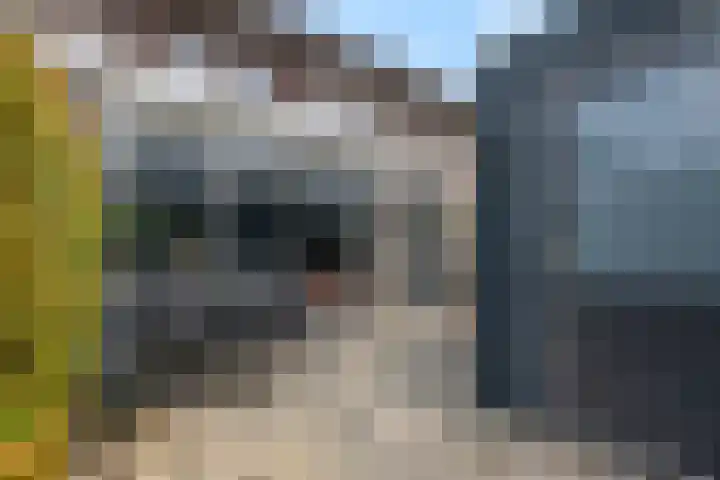 Piet Smithof 11 Ede thumbnail 28