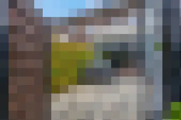 Piet Smithof 11 Ede thumbnail 32