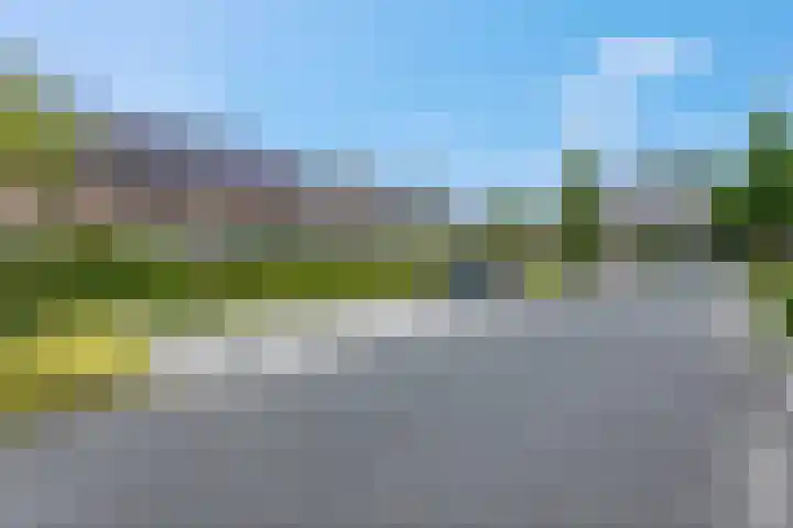 Piet Smithof 11 Ede thumbnail 34