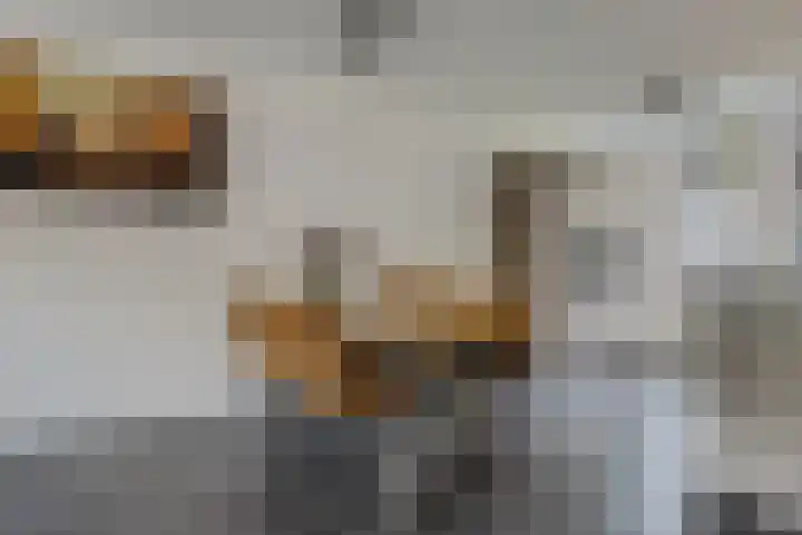 Piet Smithof 11 Ede thumbnail 8