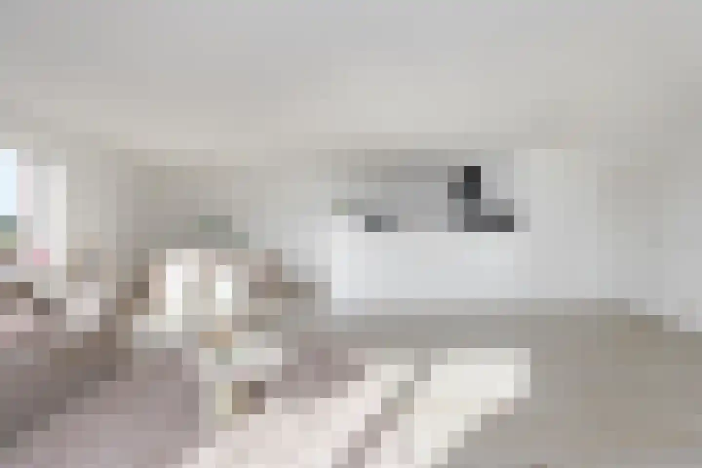 Piet Smitkade 196 Rotterdam thumbnail 12