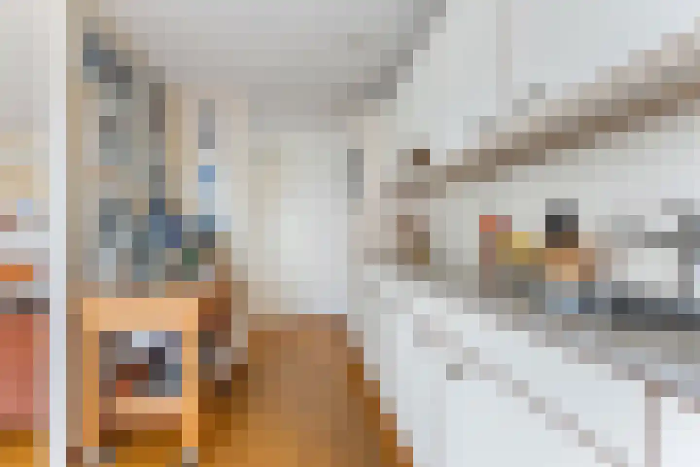 Piet Smitkade 358 Rotterdam thumbnail 19