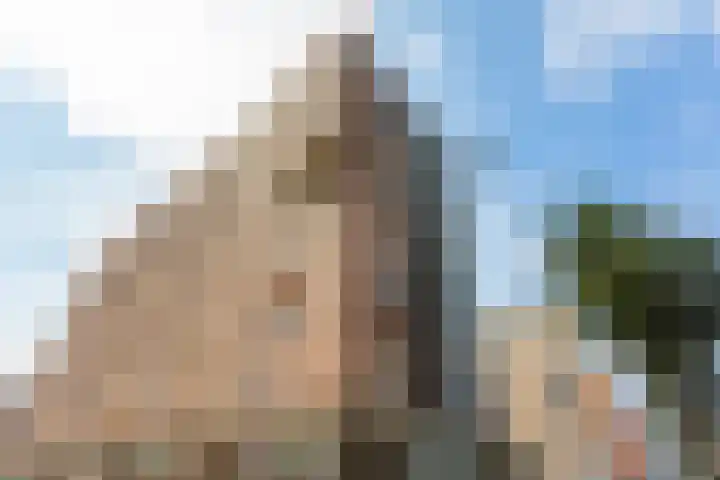 Piet Smitkade 424 Rotterdam thumbnail 19