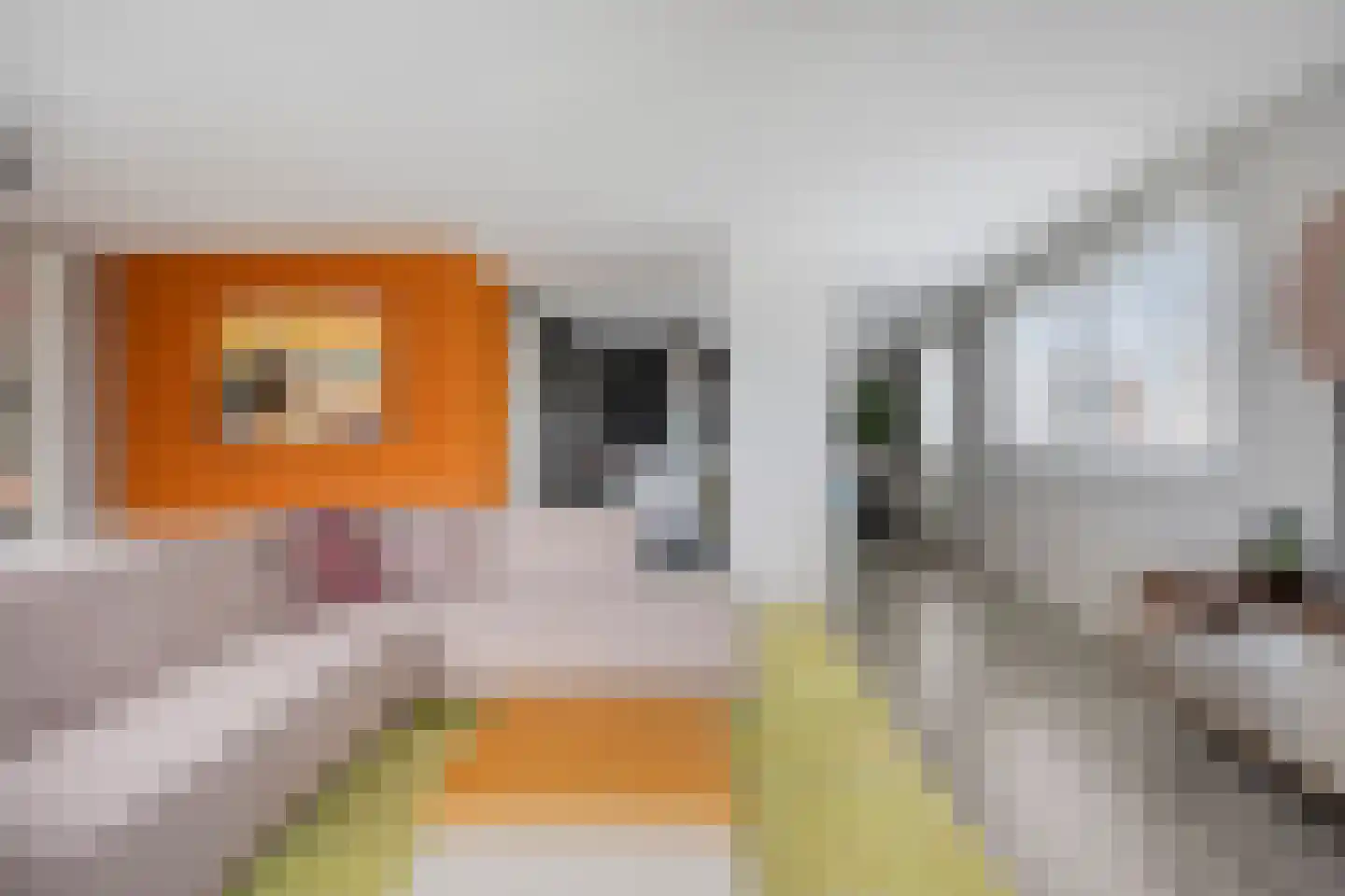 Piet Smitkade 438 Rotterdam thumbnail 11