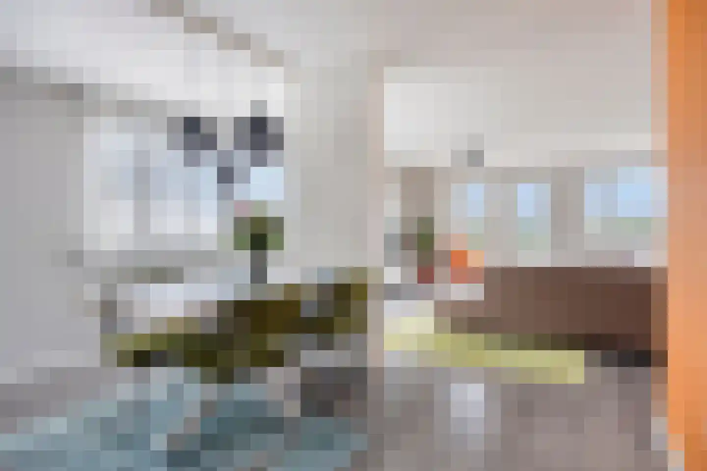 Piet Smitkade 438 Rotterdam thumbnail 15