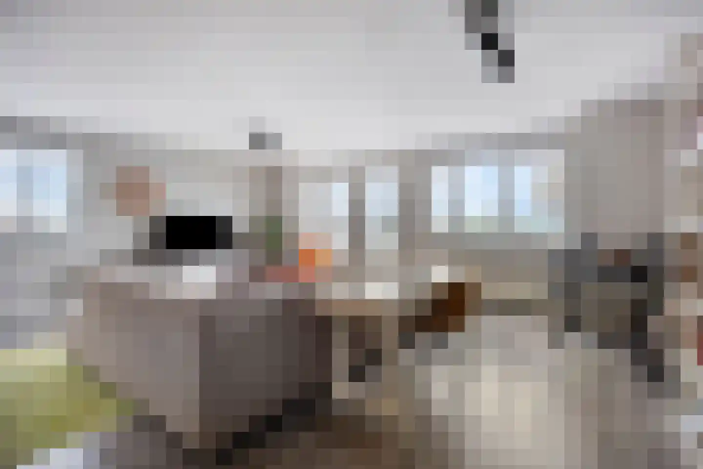 Piet Smitkade 438 Rotterdam thumbnail 19