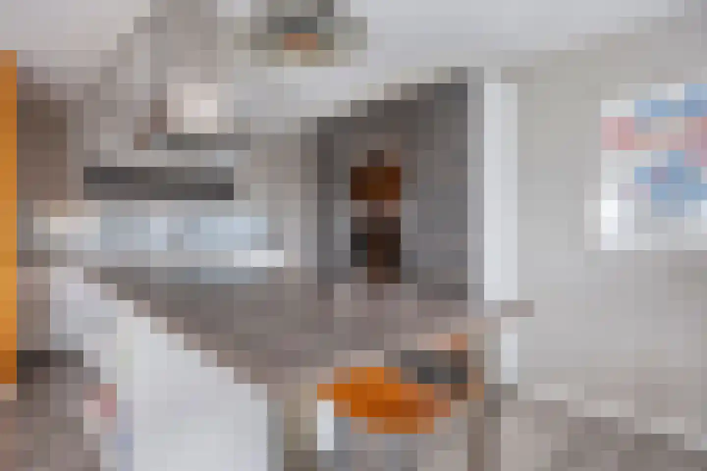 Piet Smitkade 438 Rotterdam thumbnail 21