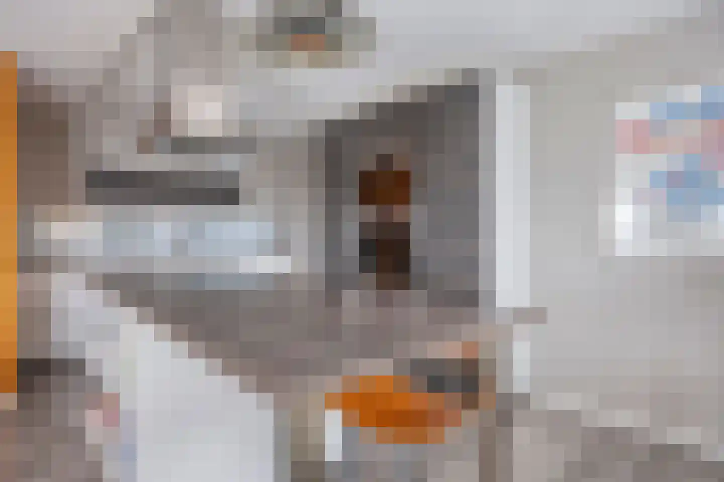 Piet Smitkade 438 Rotterdam thumbnail 22