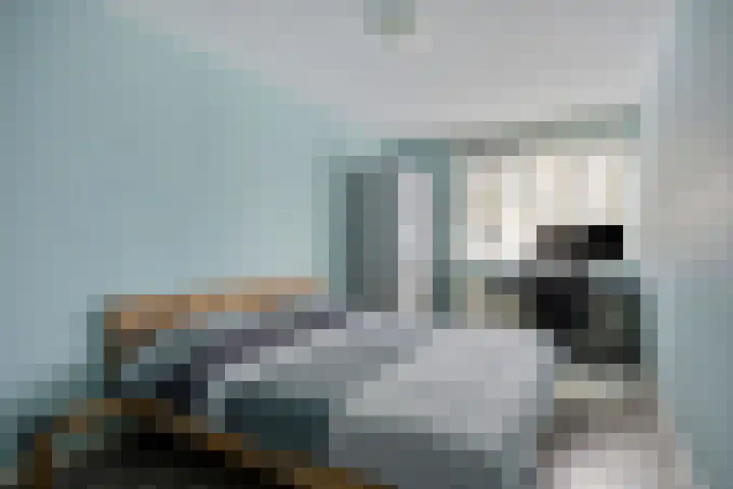 Piet Smitkade 438 Rotterdam thumbnail 29