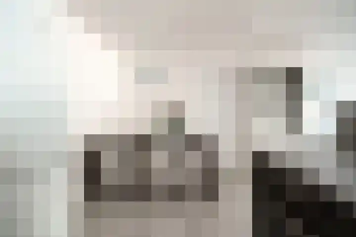 Piet Smitkade 454 Rotterdam thumbnail 11