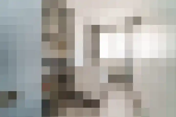 Piet Smitkade 454 Rotterdam thumbnail 14