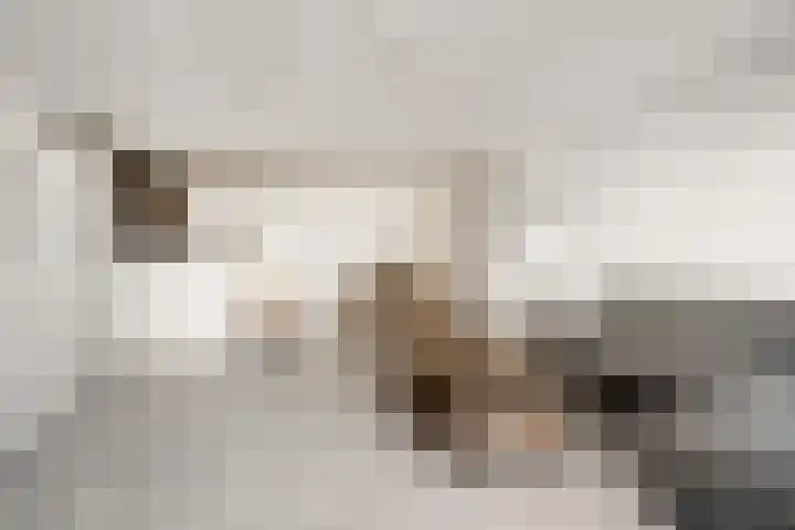 Piet Smitkade 454 Rotterdam thumbnail 6