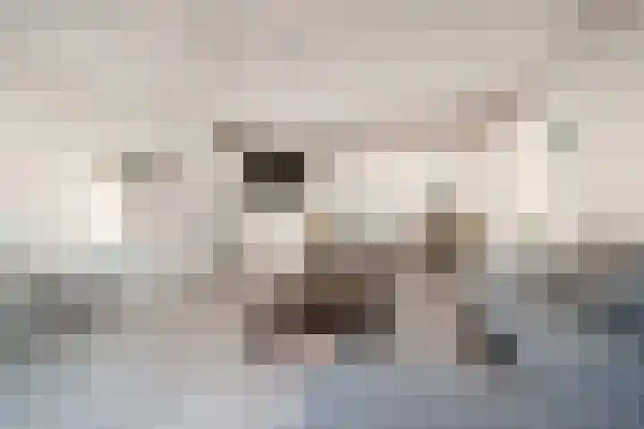 Piet Smitkade 454 Rotterdam thumbnail 7