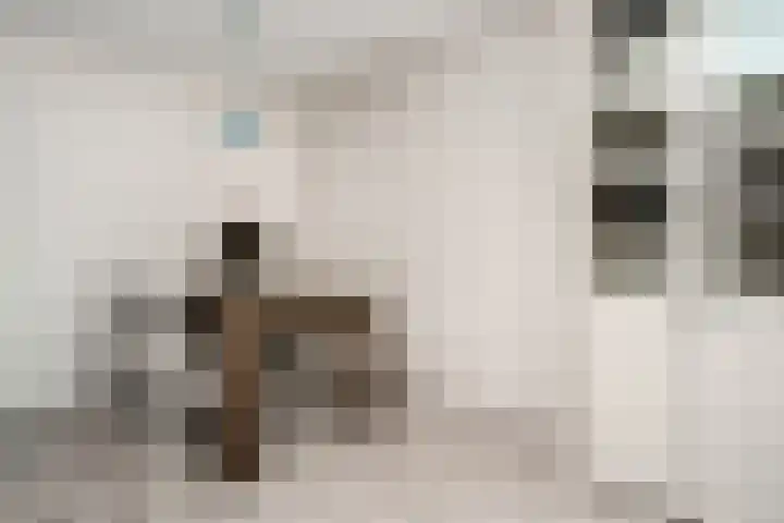 Piet Smitkade 454 Rotterdam thumbnail 8