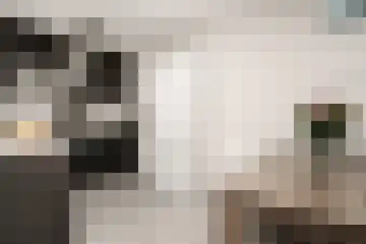 Piet Smitkade 454 Rotterdam thumbnail 9