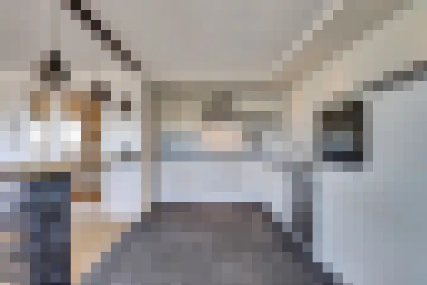 Piet Smitkade 508 Rotterdam thumbnail 32