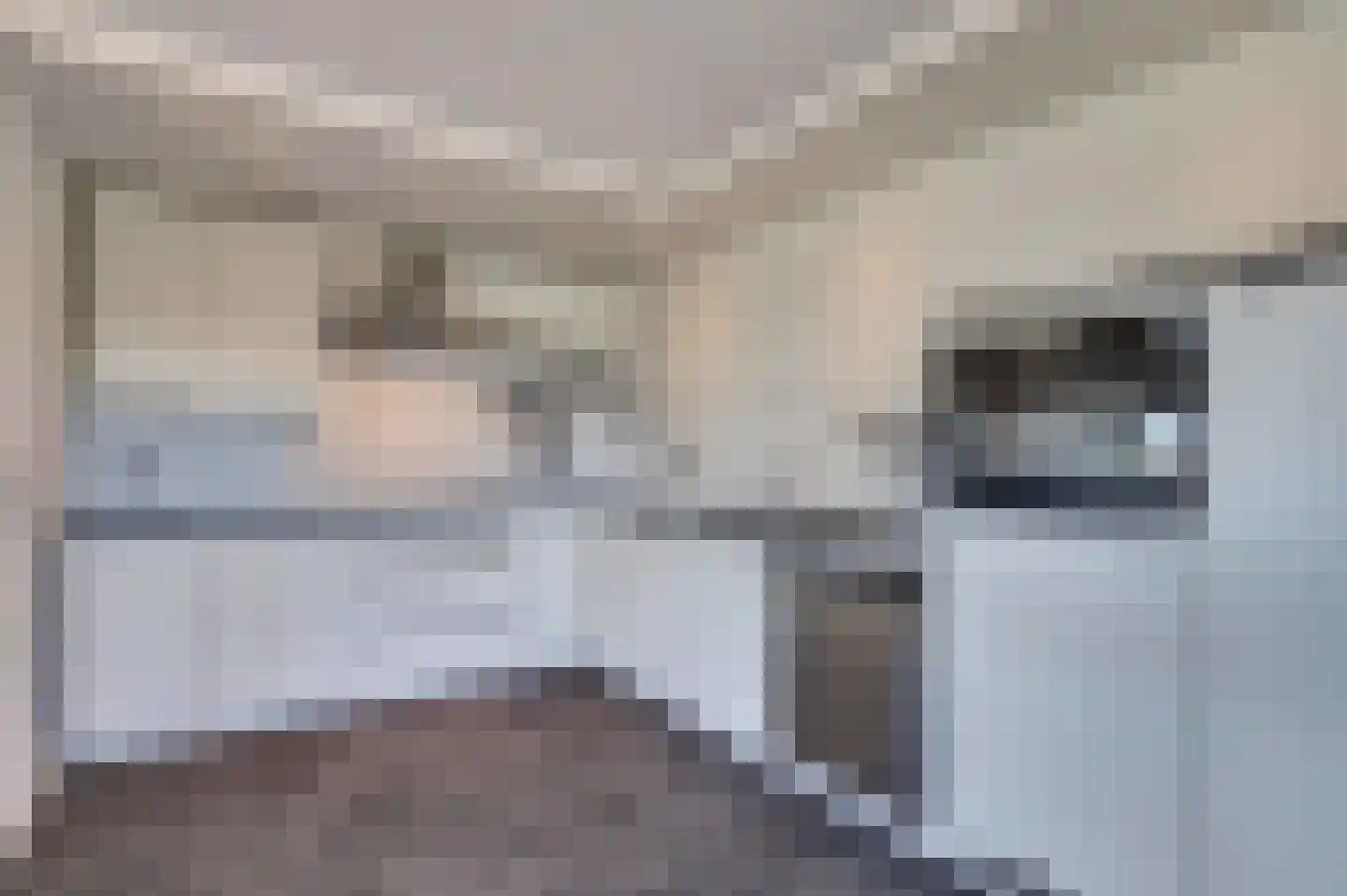 Piet Smitkade 508 Rotterdam thumbnail 34