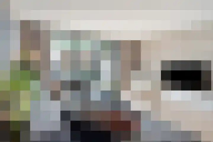 Piet Snoeijersstraat 10 Steenbergen thumbnail 10
