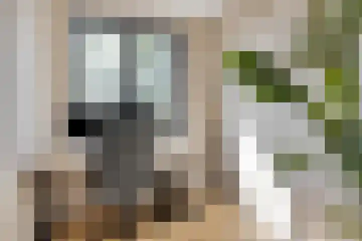 Piet Snoeijersstraat 10 Steenbergen thumbnail 24