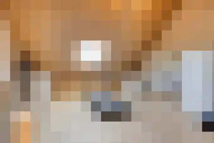 Piet Snoeijersstraat 10 Steenbergen thumbnail 26