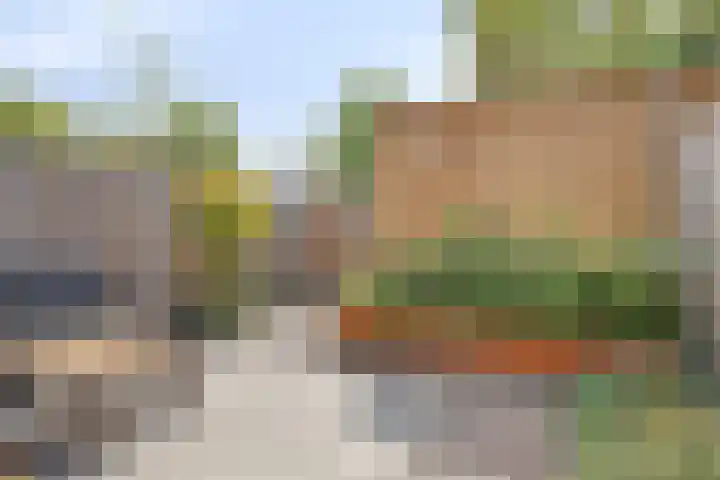 Piet Snoeijersstraat 10 Steenbergen thumbnail 28