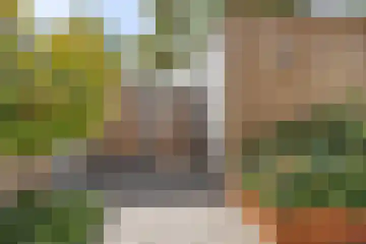Piet Snoeijersstraat 10 Steenbergen thumbnail 30
