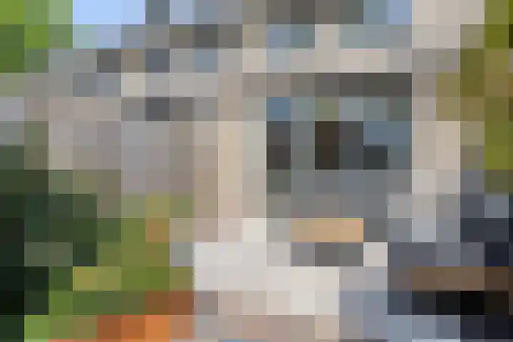 Piet Snoeijersstraat 10 Steenbergen thumbnail 31