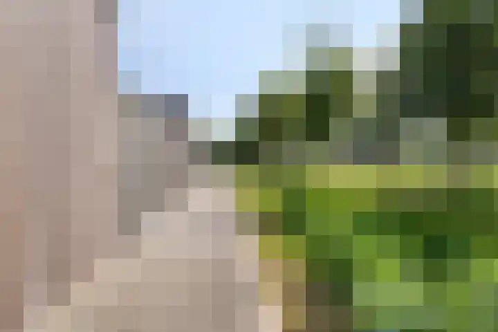 Piet Snoeijersstraat 10 Steenbergen thumbnail 34