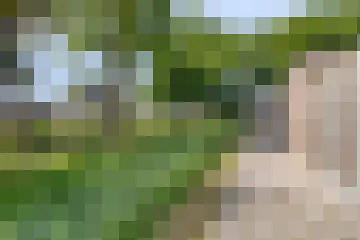 Piet Snoeijersstraat 10 Steenbergen thumbnail 35