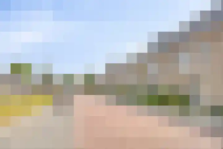 Piet Snoeijersstraat 10 Steenbergen thumbnail 37